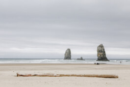 NATALIE PALOMA PHOTOGRAPHIE