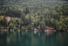 NATALIE PALOMA PHOTOGRAPHIE
