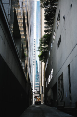 NATALIE PALOMA PHOTOGRAPHIE